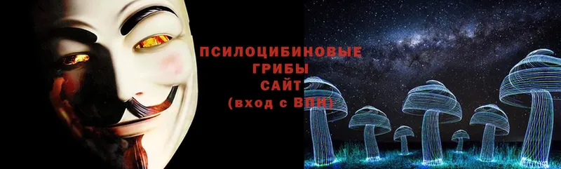 купить наркотик  mega онион  Псилоцибиновые грибы Psilocybe  Амурск 